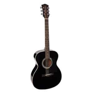 Richwood Master series A-40-BK gitaar voor beginners