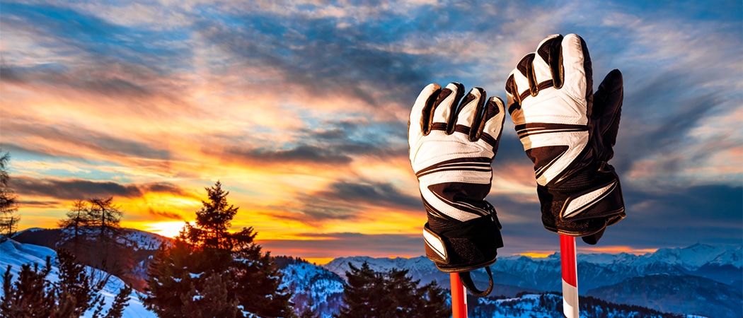 beste ski handschoenen